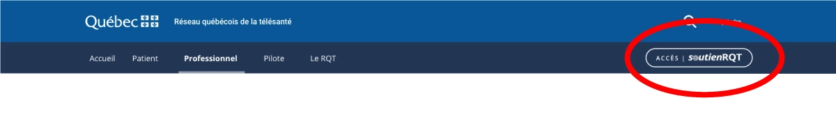 Emplacement du bouton soutienRQT dans la barre de menu